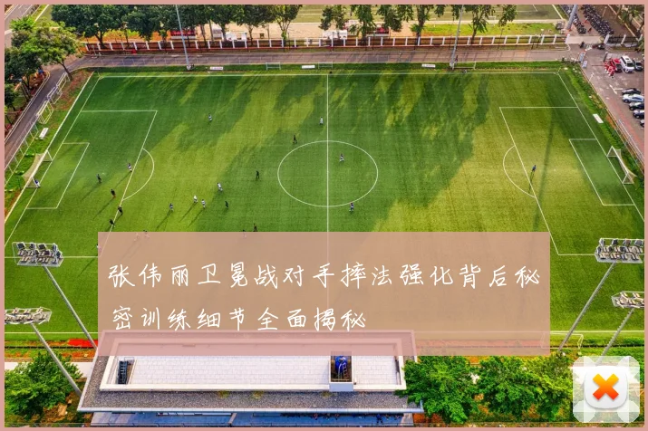 张伟丽卫冕战对手摔法强化背后秘密训练细节全面揭秘